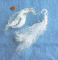 Valais Blacknose, Washed