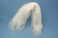 Valais Blacknose, Hand-Combed Top
