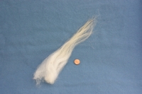 Waldschaf Wool, Washed