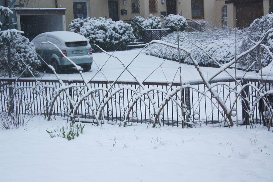 zaunimschnee