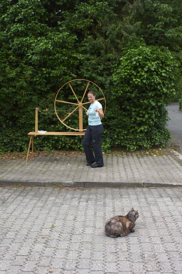 The cat, meanwhile, remained largely unimpressed. (She did check the rolags at one point, though.)