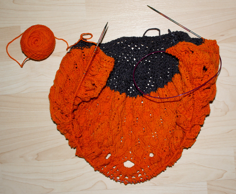 ren_progress