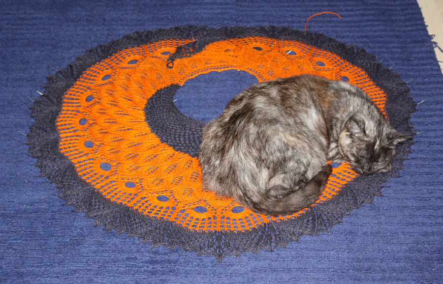 cat_renaissance
