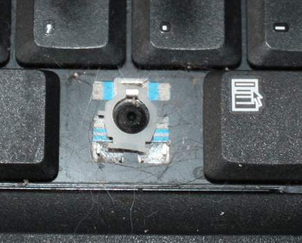 One of the plastic bits. And cat hair.
